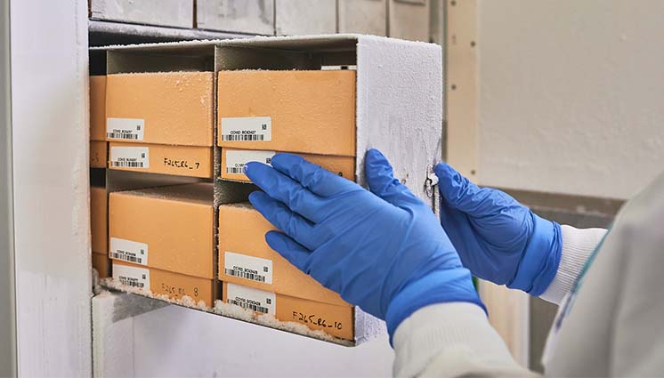 Genomics testing biosamples in storage