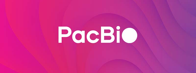 whole genome sequencing pacbio