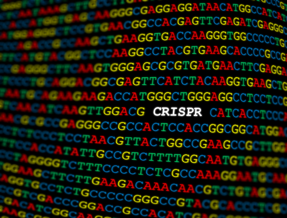 crispr gene editing