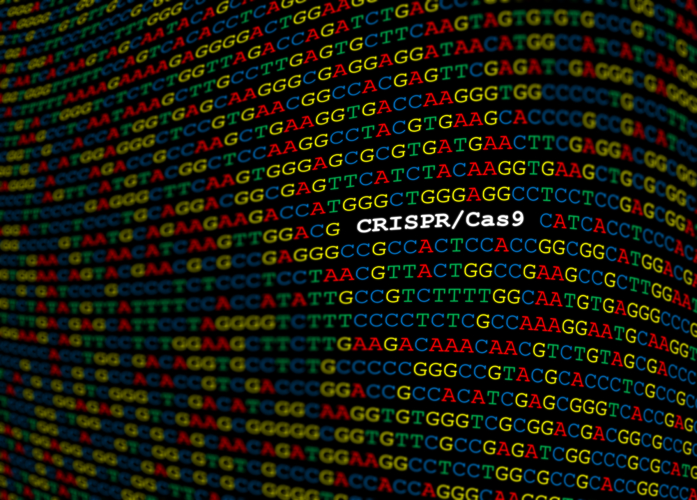 crispr gene editing cas9