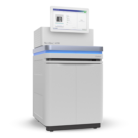 short read sequencing on illumina novaseq 6000