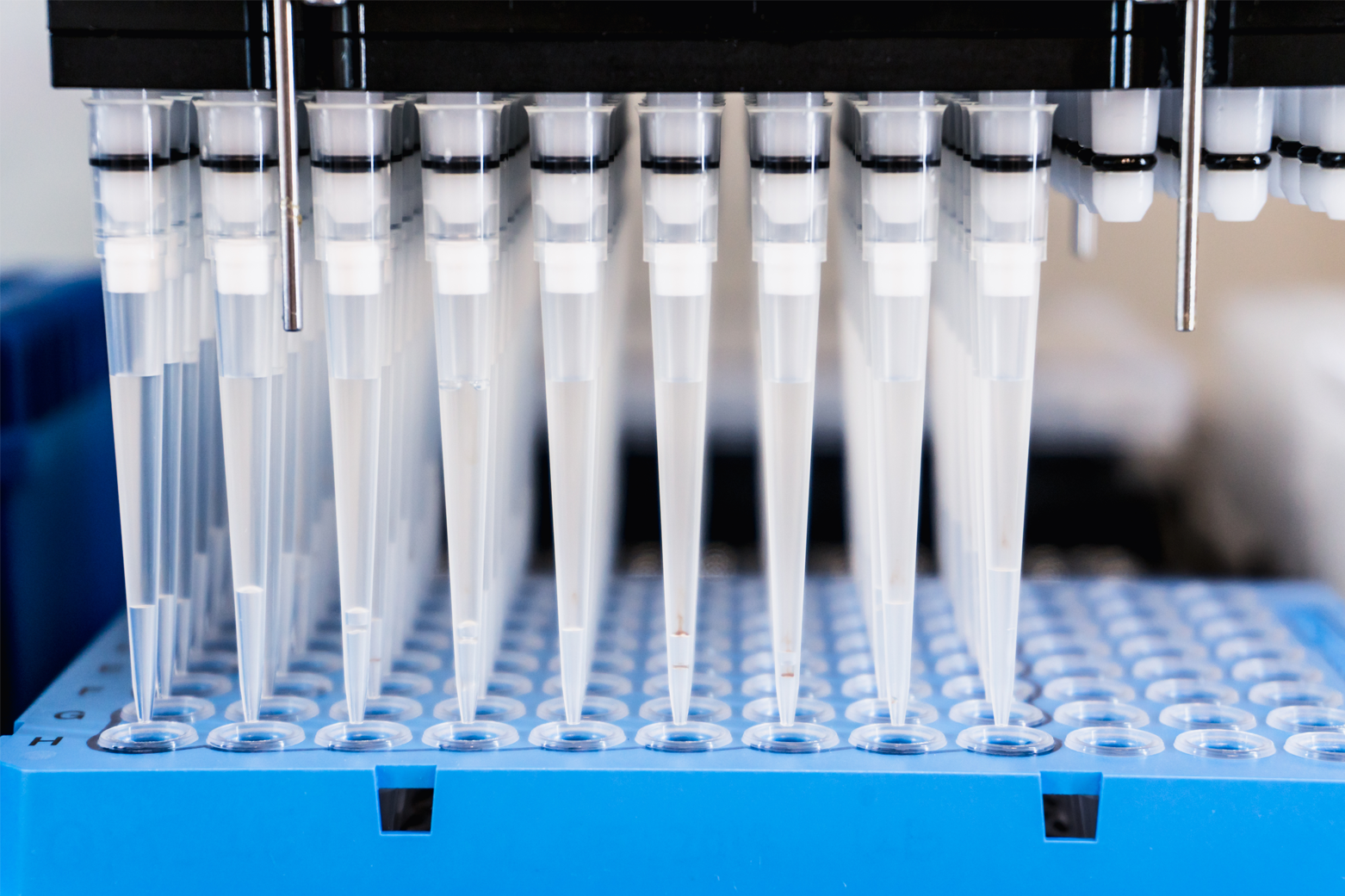 Using our cutting-edge platforms from Illumina, PacBio, ClearDX and more, we can customize Next Generation Sequencing services to fit your requirements, whether they involve “off the shelf kits” or bespoke panels.