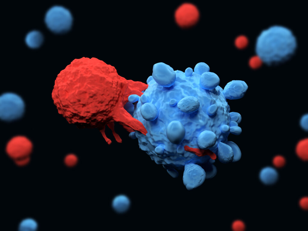 vector copy number for car-t therapies