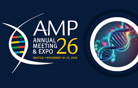 amp 2026