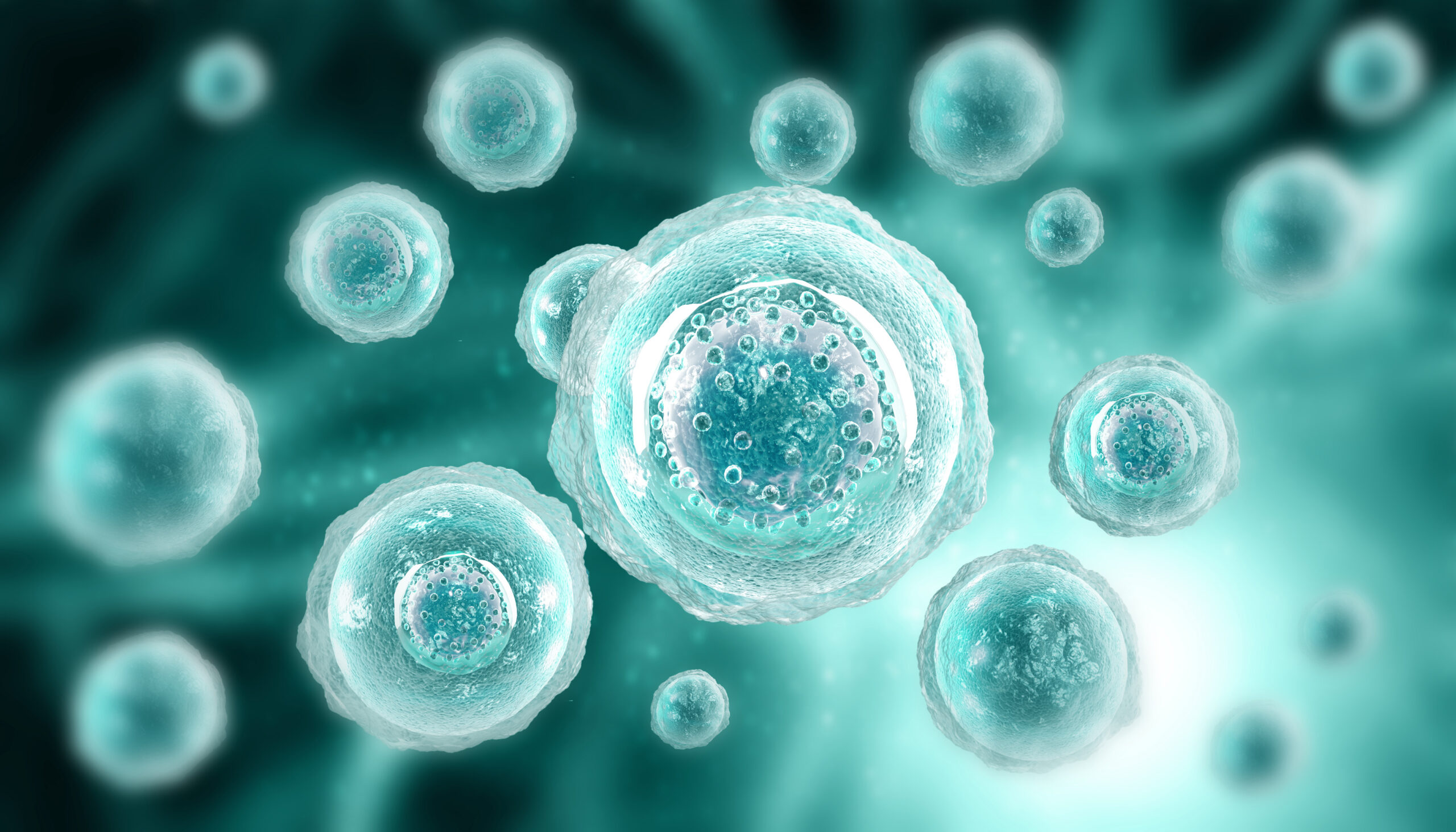 cancer cell image